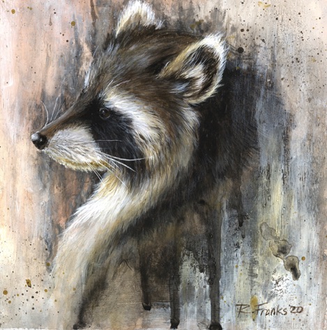 Raccoon Study 
Acrylic - SOLD